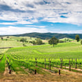 The Top Wineries for Tastings and Tours in Australia