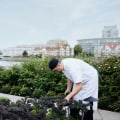 Experience the Best of Farm-to-Table Dining Across Australia