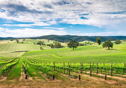 The Top Wineries for Tastings and Tours in Australia