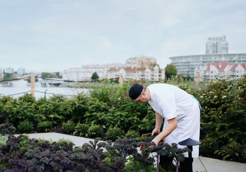 Experience the Best of Farm-to-Table Dining Across Australia